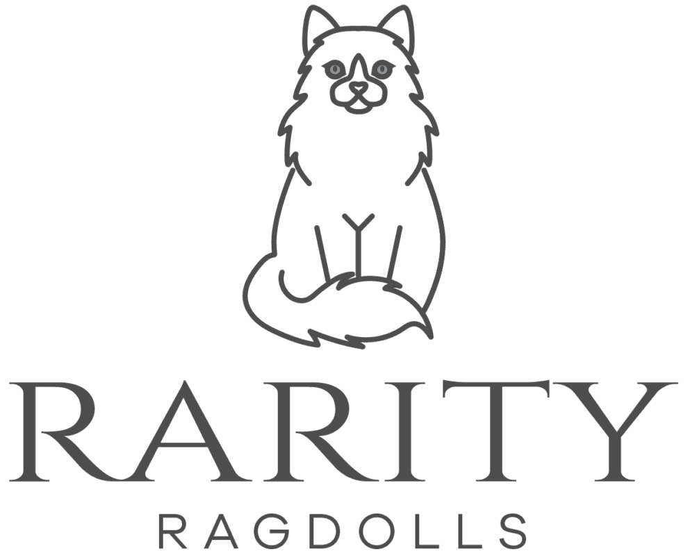 Rarity Ragdolls
